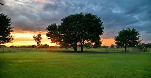 Kgetlengrivier Cabin | Buffalo Thorn Tree Lodge