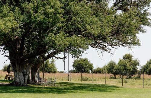 Kgetlengrivier Cabin | Buffalo Thorn Tree Lodge