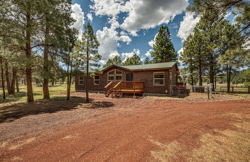 Williams Cabin | Bull Elk Lodge a cozy cabin in the woods of Northern Arizona