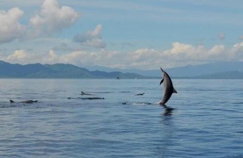 Bunaken Bed & Breakfast | Bunaken Jhon Homestay