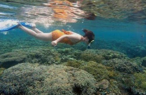 Bunaken Bed & Breakfast | Bunaken Jhon Homestay