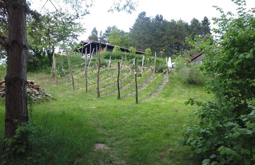 Blankenburg House | Bungalow A with garden on the southern slope