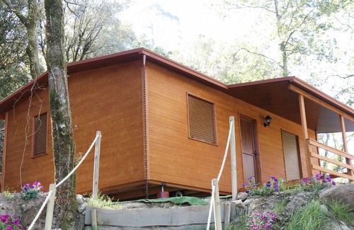 Ponte de Lima House | Bungalow de Madeira no Coração da Natureza
