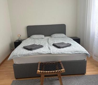 Basel City Centre Apartment | Business-Wohnung Messe Basel