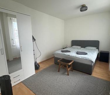 Basel City Centre Apartment | Business-Wohnung Messe Basel