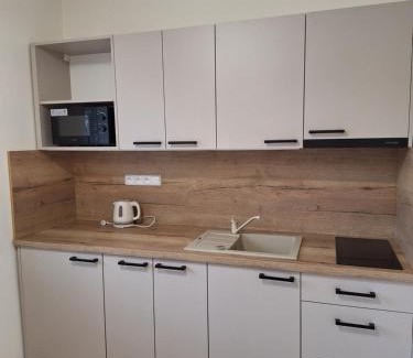 Valtice Apartment | BYT POD ZÁMKEM