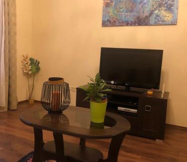 Karlovy Vary Apartment | Byt s krásnou vyhlídkou na hotel Imperial