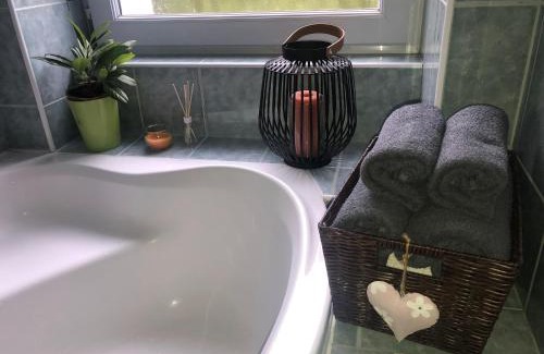 Karlovy Vary Apartment | Byt s krásnou vyhlídkou na hotel Imperial
