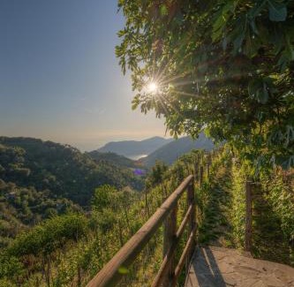 Vernazza House | Cà du Venuto 2