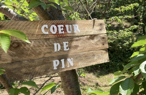Simiane-Collongue House | Cœur de pin