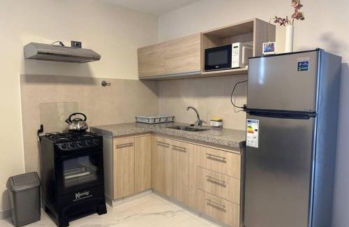 Tarija Apartment | C 1 - Cálido depto Edif Alfas cambio paralelo
