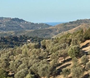 Ogliastro Cilento Bed & Breakfast | Ca’del Borgo B&B Country House
