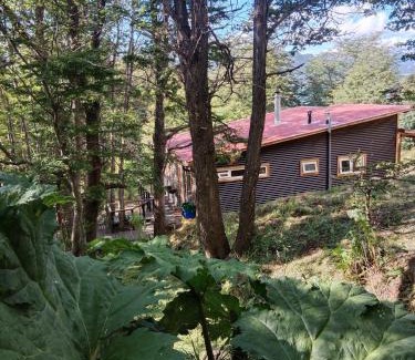 Coyhaique Ski Chalet | Cabaña con Tinaja privada - Coyhaique