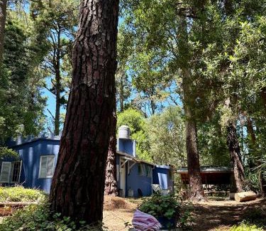 Valeria del Mar House | Cabaña en el bosque con quincho