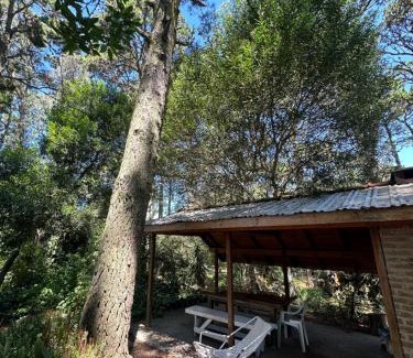 Valeria del Mar House | Cabaña en el bosque con quincho