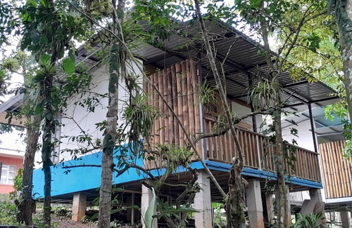 Carara Cabin | Cabaña Para 4 Personas Complejo Turístico Fuga Ecolodge