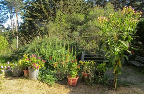 Algarrobo House | Cabañas El Colibrí