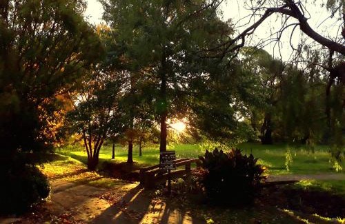 Tandil Cabin | Cabañas Las Dinas