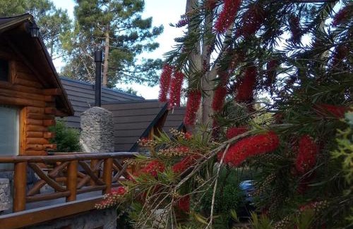 Mar de Las Pampas Apartment | Cabañas Mapuche