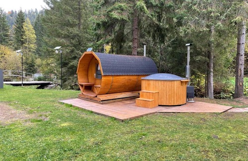 Stanceni House | Cabana Medeea