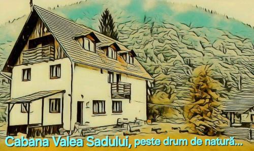 Rau Sadului House | Cabana Valea Sadului