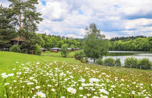Meyrignac-l'Eglise Apartment | Cabane Familiale | Vue Forêt | Accès Direct au Lac