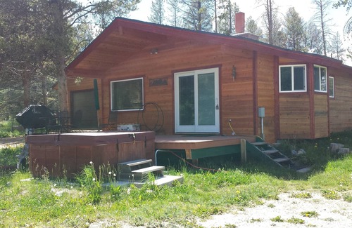 Tabernash Cabin | Cabin 3Mi from Fraser/10mins to WP skiing, W/D, Garage, Hot Tub