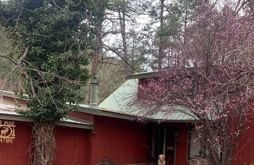 Kohls Ranch House | Cabin overlooking Tonto Creek across from Tonto National Forest
