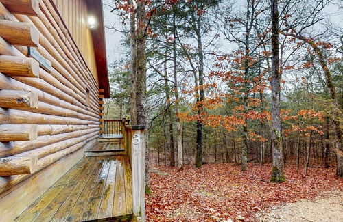Eureka Springs Cabin | Cabin suite in quiet location with fireplace, grill, cable & AC