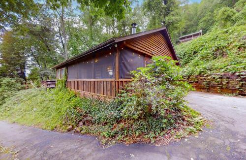 Bryson City House | Cabin with Mountain View