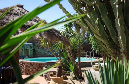 Pantelleria Bed & Breakfast | Cactus b&b Le casette di Marilena
