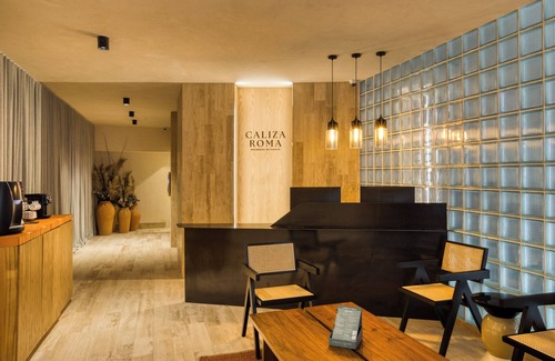Roma Norte Apartment | Caliza Roma Residences by Tasman