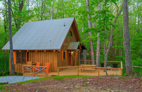 Demorest Cabin | Camp Bell at Twin Rivers - Peaceful Cabin w/Firepit & Outdoor Movie Projector!