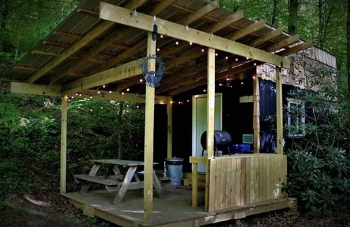 Todd RV Rental | Camp Bigfun: Mountain Lakeview Tiny Cabin Solar Power Off Grid