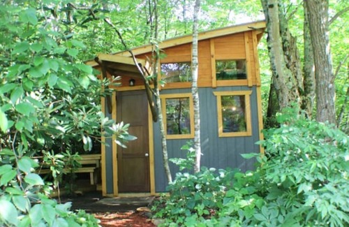 Todd RV Rental | Camp Bigfun: Tiny Hideaway Cabin Solar Power Off Grid
