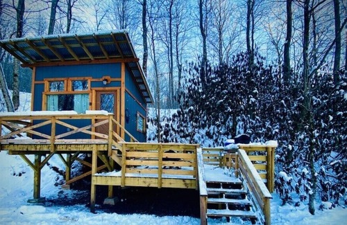 Todd RV Rental | Camp Bigfun: Tiny Treehouse Cabin Solar Power Off Grid
