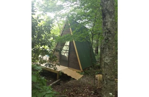 Todd RV Rental | Camp Bigfun: Waterfront Tiny Cabin A-frame Solar Power Off Grid
