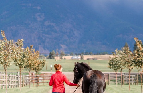 Columbia Falls RV Rental | Camp Site on 24 Acre Horse Farm - Wellness Retreat Center