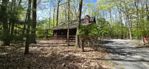 Swanton House | Camp Valentine- charming 3 bedroom cabin with hot tub and fireplace in private setting