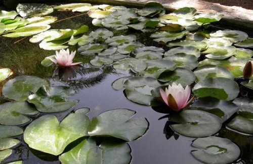 Tamaris House | Campagne Beausoleil