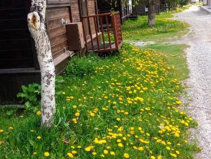 Sestriere Other | CAMPEGGIO CHISONETTO