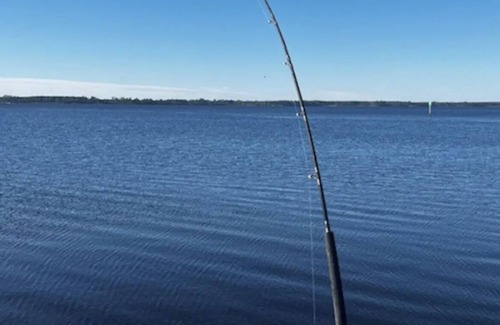 Ochlockonee Bay House | Camper with bunk beds on Ochlockonee Bay! Pet friendly