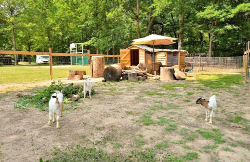 Combreux House | Camping Étang de la Vallée* - Nature Lodge 3 rooms 4 people Without sanitary facilities