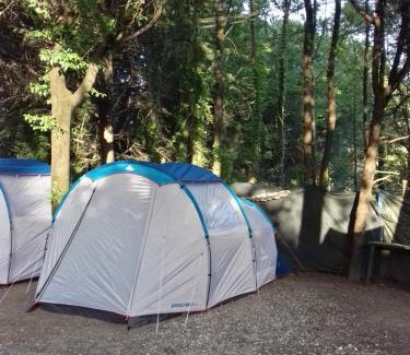 Marina di Massa Other | Camping Dolce Sole
