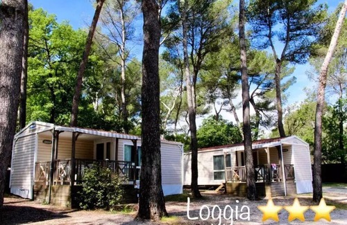 Peynier House | Camping le Devançon* - Mobile home Maxi Confort Super Cordelia 4 rooms 6 people