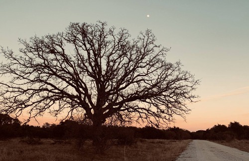 Llano RV Rental | Camping! Solar eclipse! Bring your tent! Llano TX