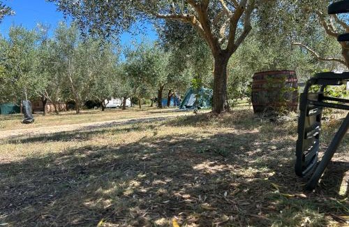 Banjole Other | Camping Volme Tent