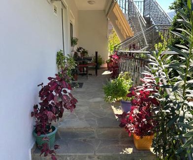 Permet House | Canka Guest House