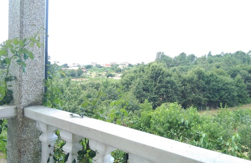 Castro Daire Apartment | Cantinho do Mel - Studio with 2 bedrooms