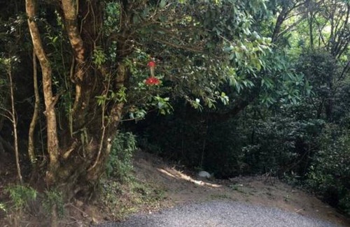 Quebrada Grande House | Cantos del Bosque 2!